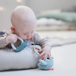 Done By Deer Cozy Lounger & Activity Arch 15 Done By Deer Cozy Lounger & Activity Arch -Baby Products Store Cozy lounger with activity arch Raffi Powder 8 LS 700x 01322092 7b16 4cda 8297 69b2d039d607