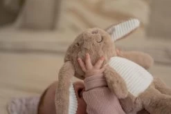 Heartbeat Comforter -Baby Products Store FlowAmsterdamknuffel 2048x 0f4c1bbe 76c1 4b0c b309 1224cadf7ee5